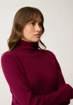 AMBRE pull col montant bordeaux