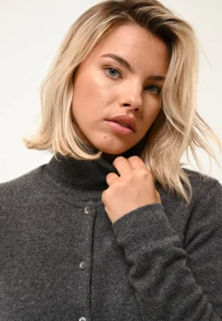 AVA pull col roulé anthracite chiné