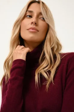 AVA pull col roulé bordeaux