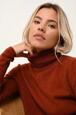 AVA pull col roulé écureuil