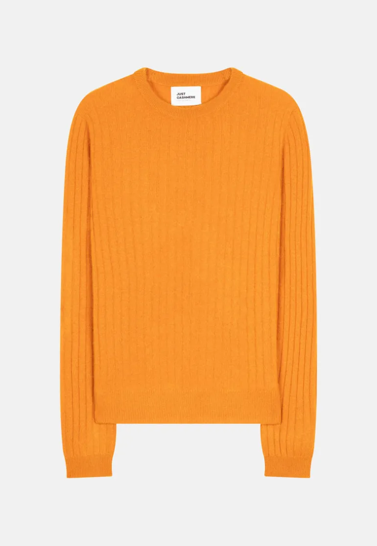 AVANA pull col rond ocre