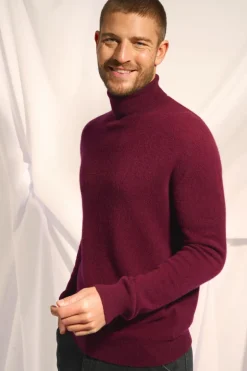 CONNOR pull col roulé mûre