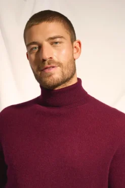 CONNOR pull col roulé mûre