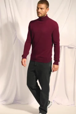 CONNOR pull col roulé mûre