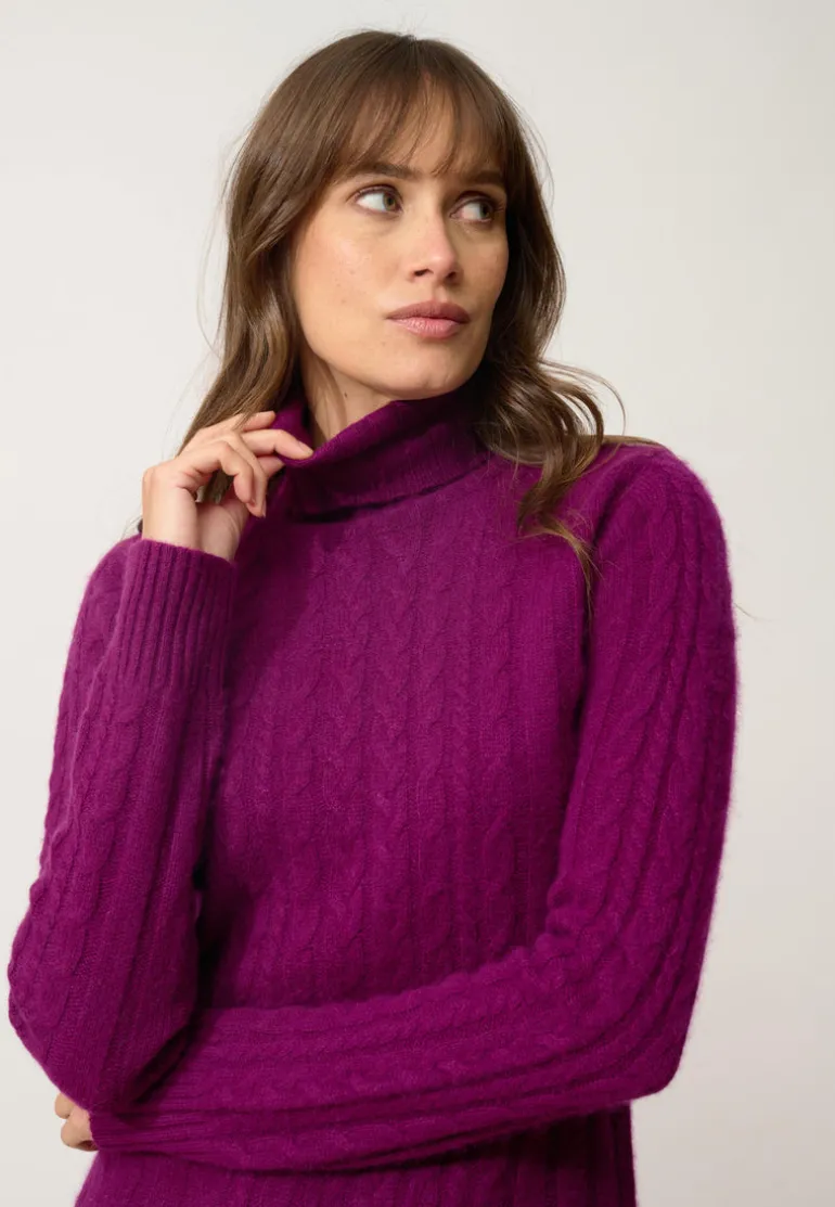 DOLKAR robe col roulé prune