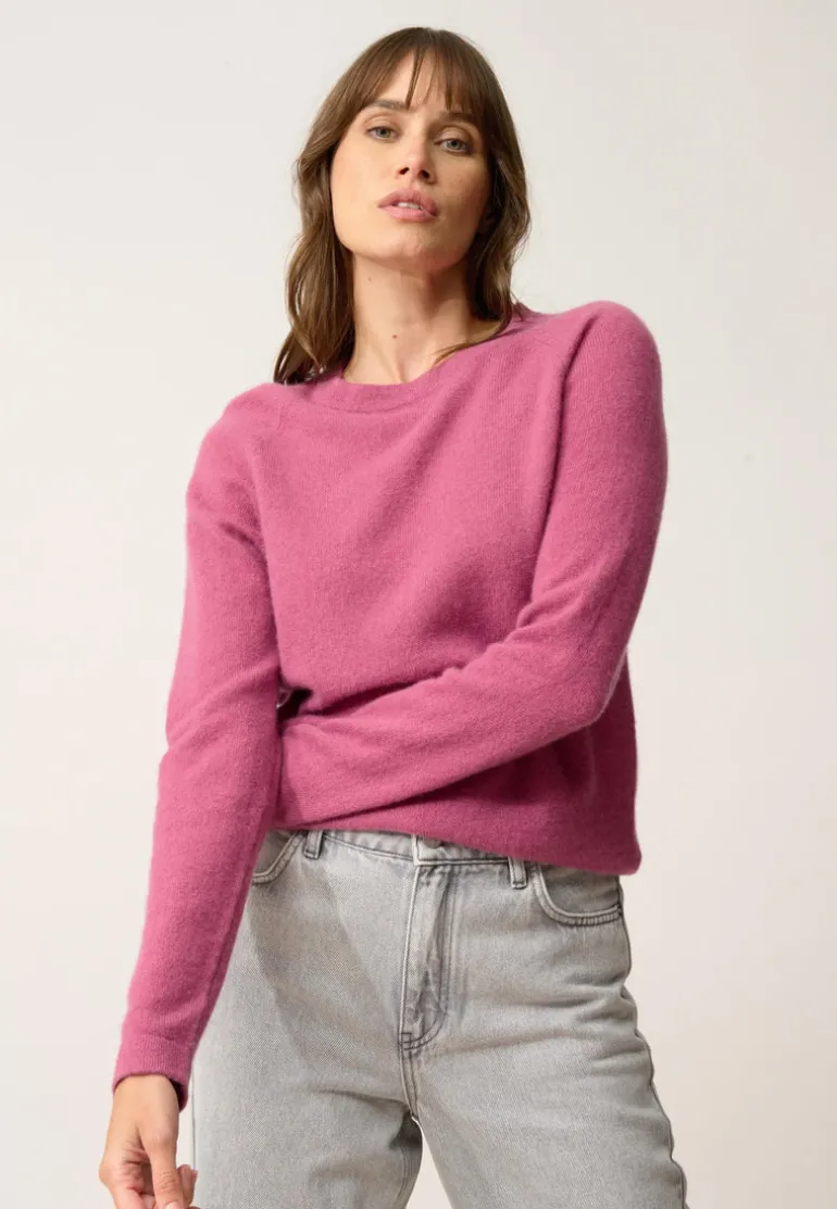 JANE pull col rond orchidée