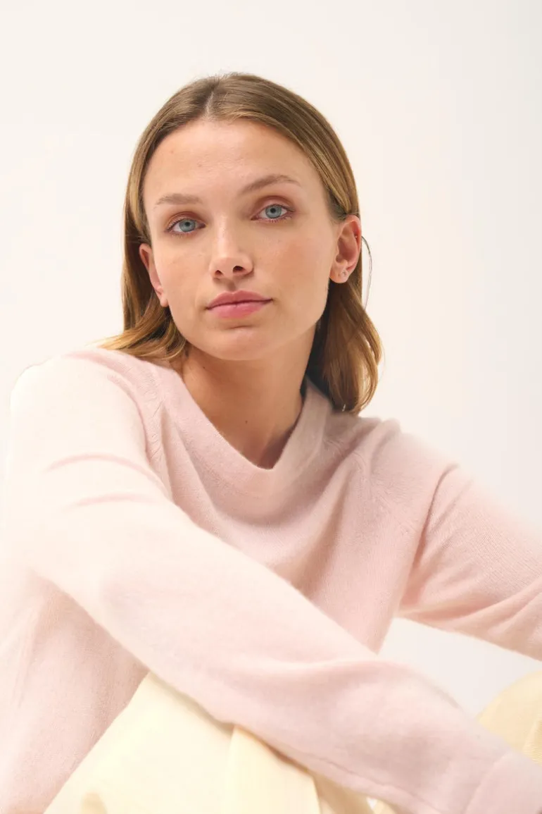 JANE pull col rond poudre