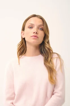 JANICE pull col rond poudre