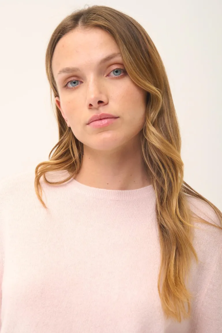 JANICE pull col rond poudre