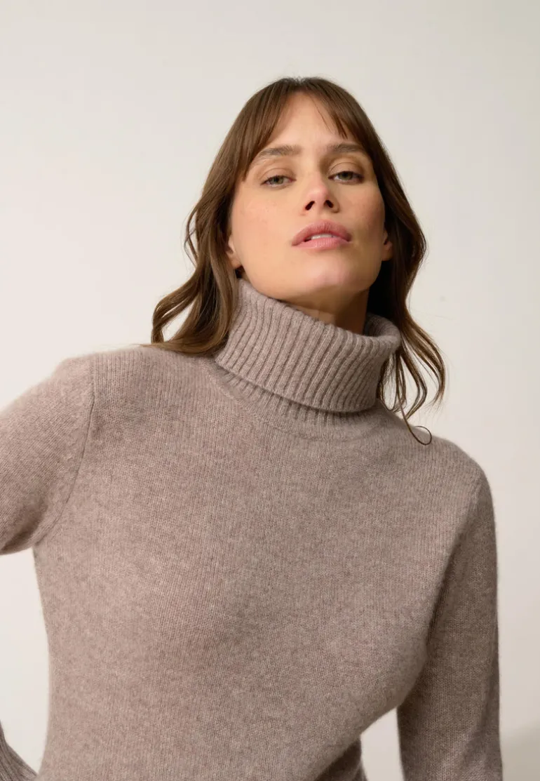 LUCIE pull col roulé caribou chiné