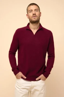 NOAH pull col polo ouvert bordeaux