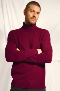 NOI pull col roulé bordeaux